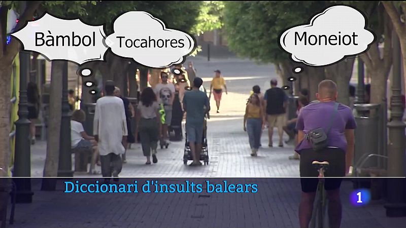 Diccionari d'insults balears - Veure ara