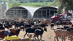 Para Todos La 2-Mujeres innovadoras en el mundo rural
