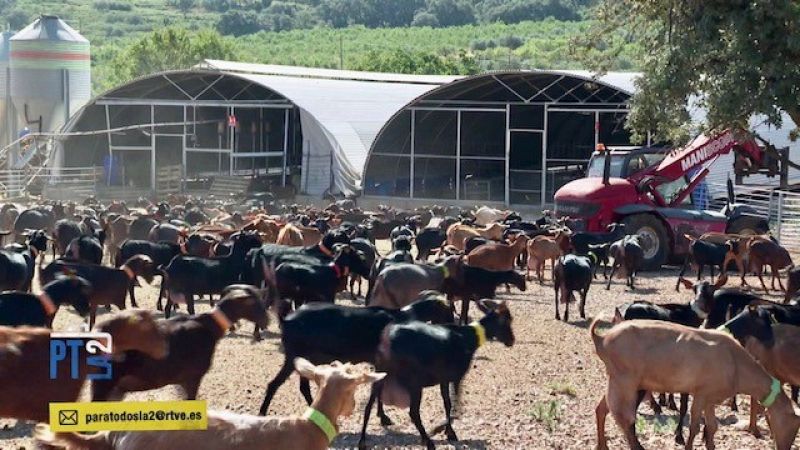 -Mujeres innovadoras en el mundo rural