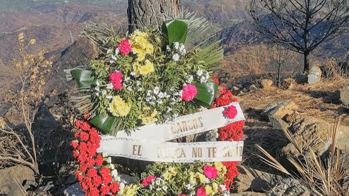 Un año del fuego de Sierra Bermeja