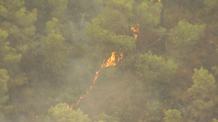 Incendio en Los Guajares (Granada)