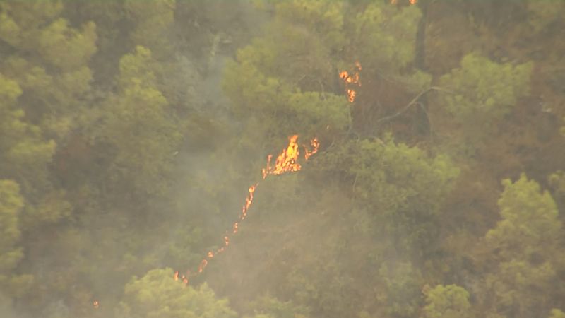 Incendio en Los Guajares (Granada) - Ver ahora