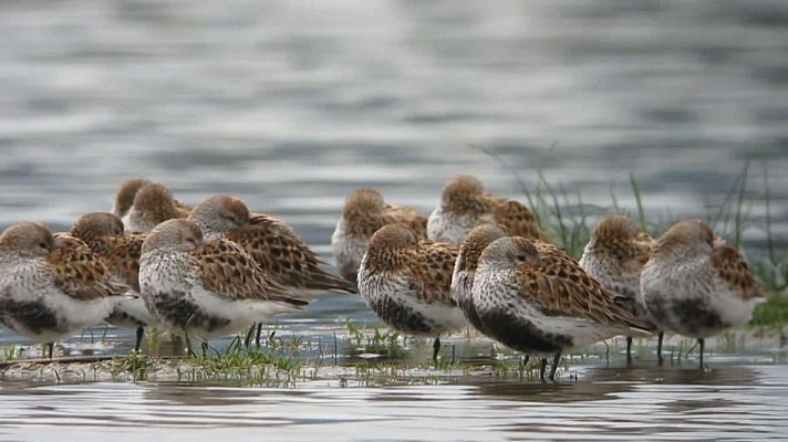 Agrosfera - Agrosfera - 10/09/22