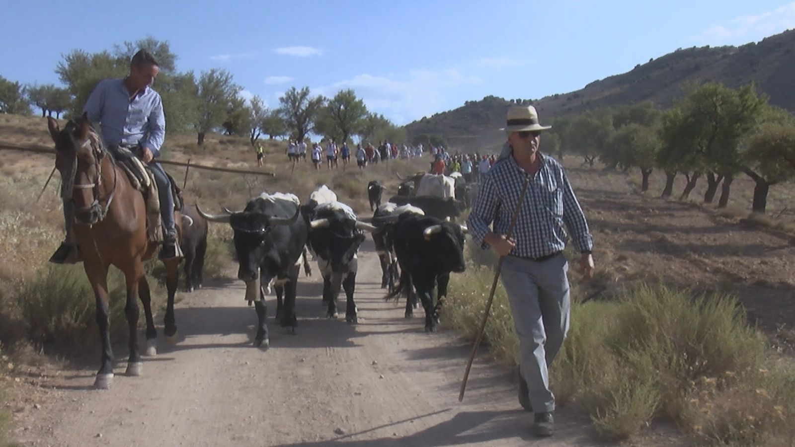 Tendido cero - 10/09/22 - ver ahora