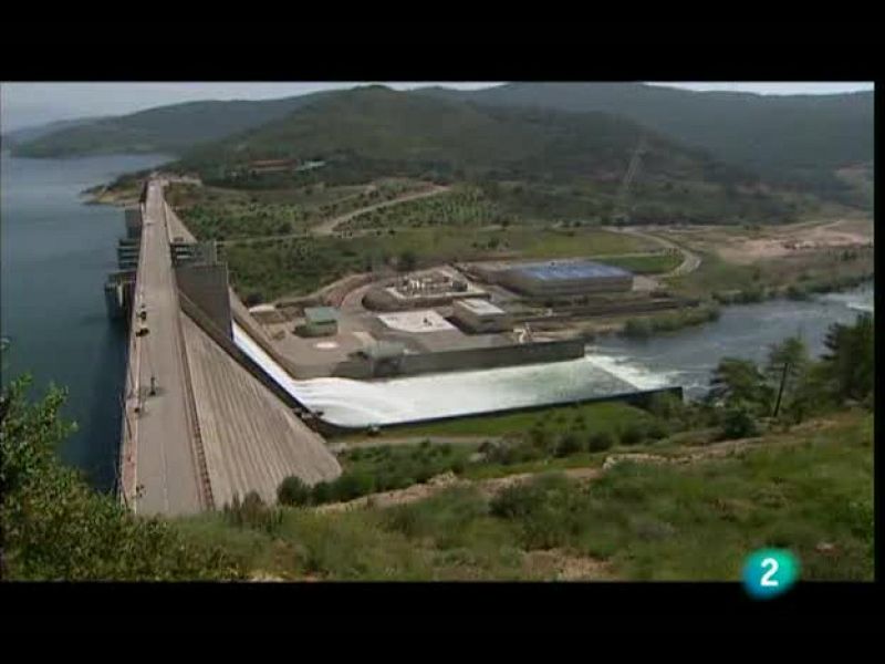 El escarabajo verde: 'Cerrados en canal'