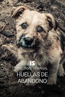 Informe Semanal - Huellas de abandono