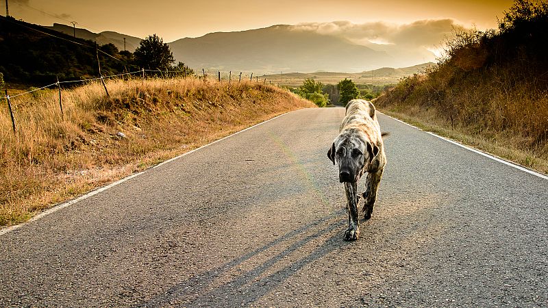 Informe Semanal - Huellas de abandono - ver ahora