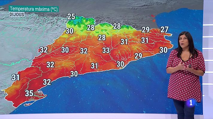 El temps - El Temps - La calor intensa té els dies comptats