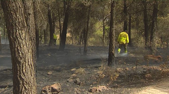 Incendio en Los Guájaros (Granada)