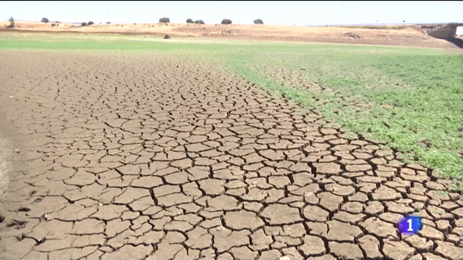 La lluvia no remedia la sequía en Andalucía