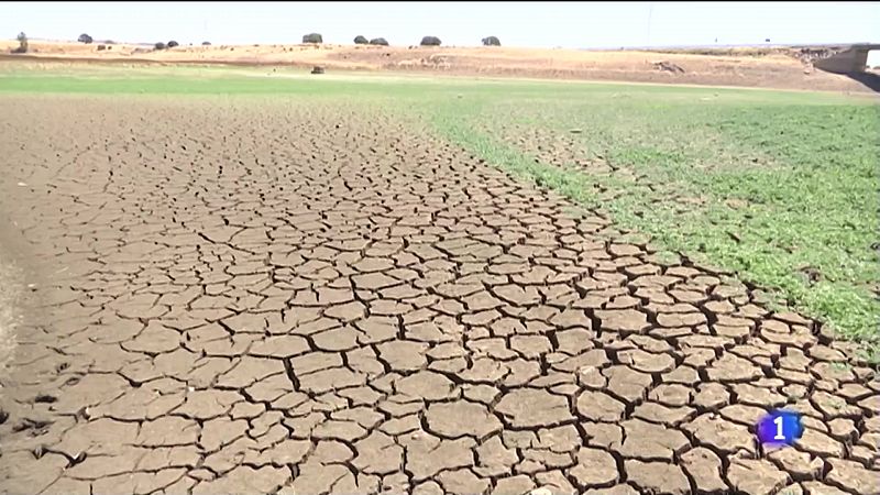 La lluvia no remedia la sequía en Andalucía - Ver ahora