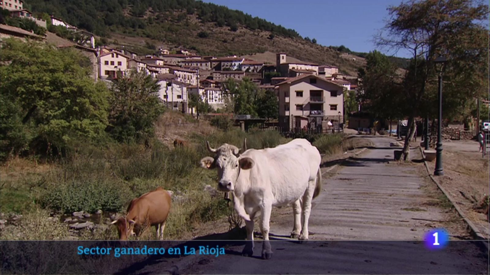 Telerioja en 2' - 13/09/22 - RTVE.es