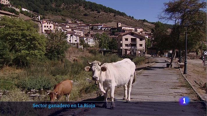 Telerioja en 2' - 13/09/22