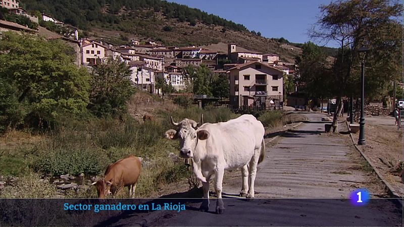 Telerioja en 2' - 13/09/22 - Ver ahora