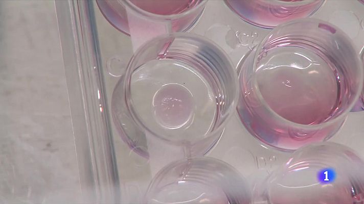 L'Informatiu - Nova eina per investigar el càncer de mama