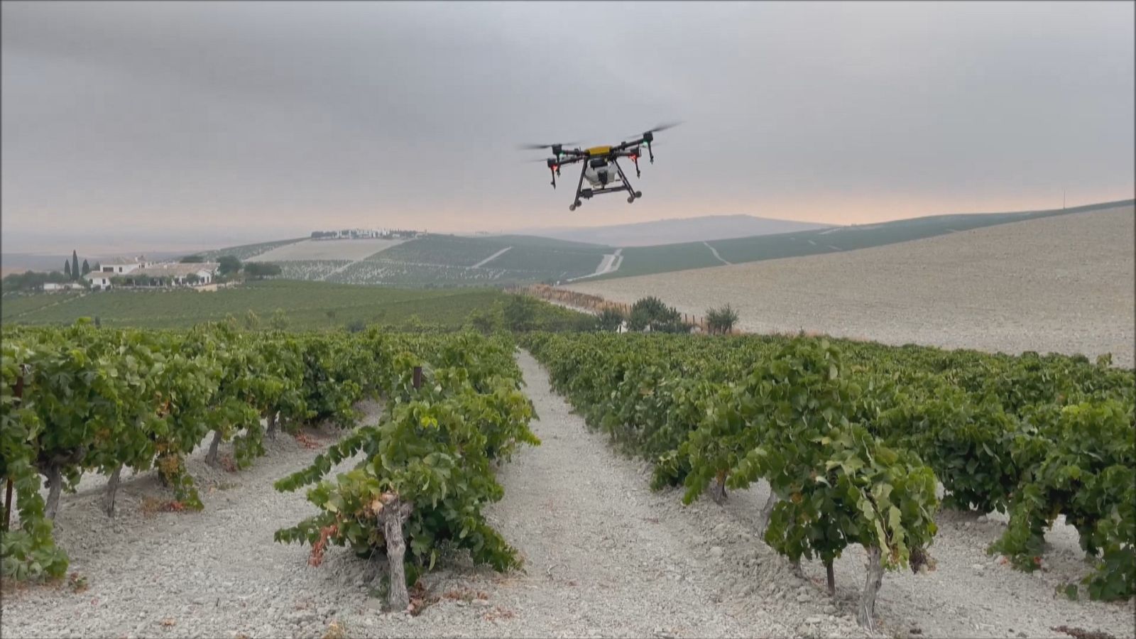 Proyecto Investigación GO_PhytoDron - Ver ahora