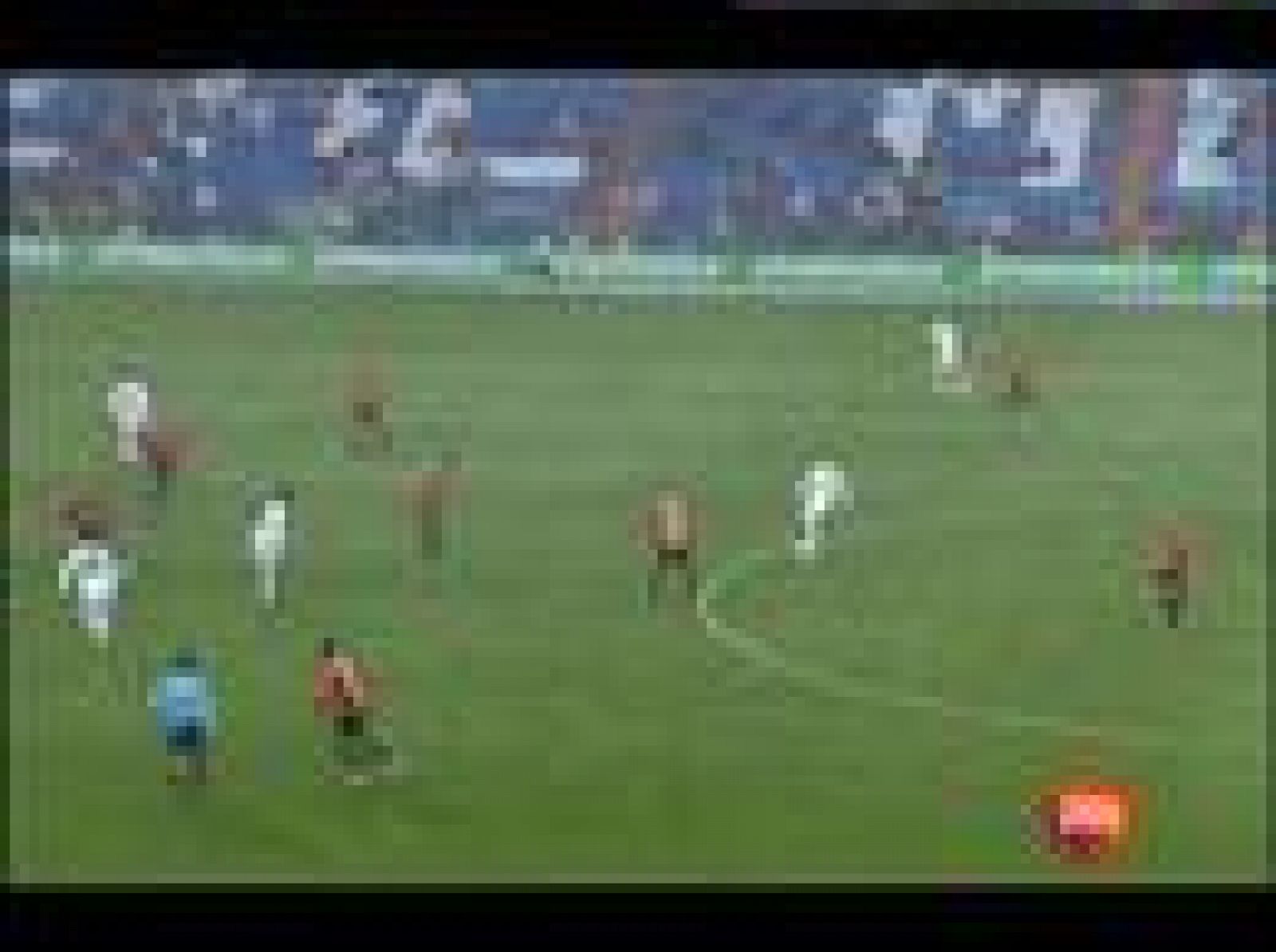 Amapola, lindísima amapola | Ver