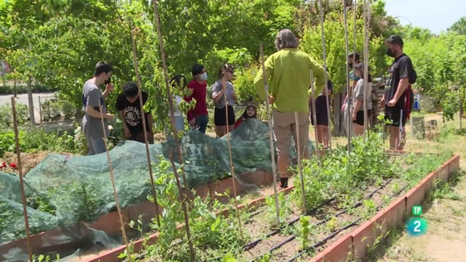 LA AVENTURA DEL SABER- Educar con mirada ecosocial