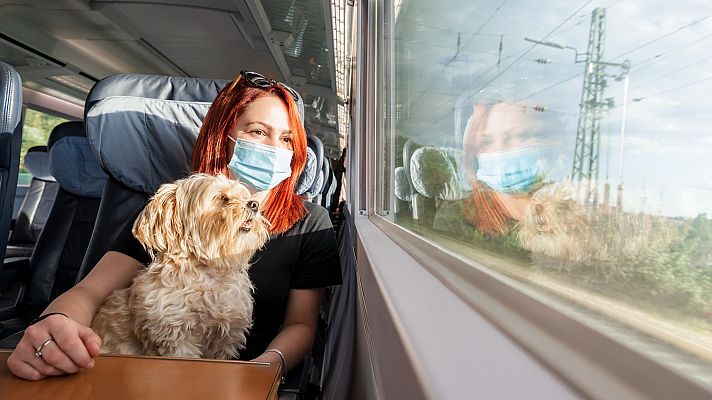 Renfe pone a la venta billetes para viajar en AVE con perros de hasta 40 kilos