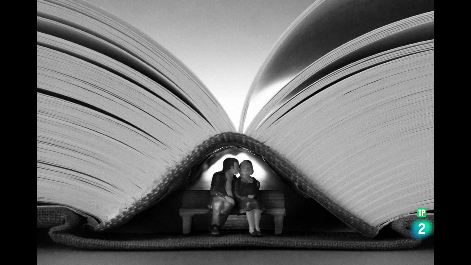 LA AVENTURA DEL SABER- Boek visual: Jordi Larroch