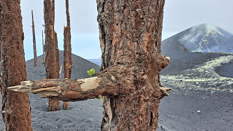 En Portada - Un volcán, otra isla - Ver ahora