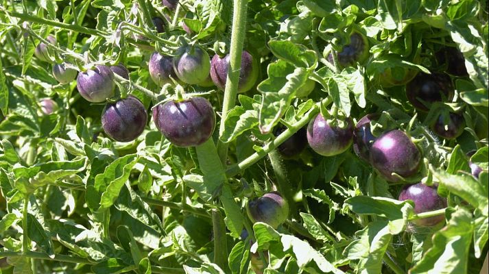 Aquí la Tierra - Aquí la Tierra - 15/09/22