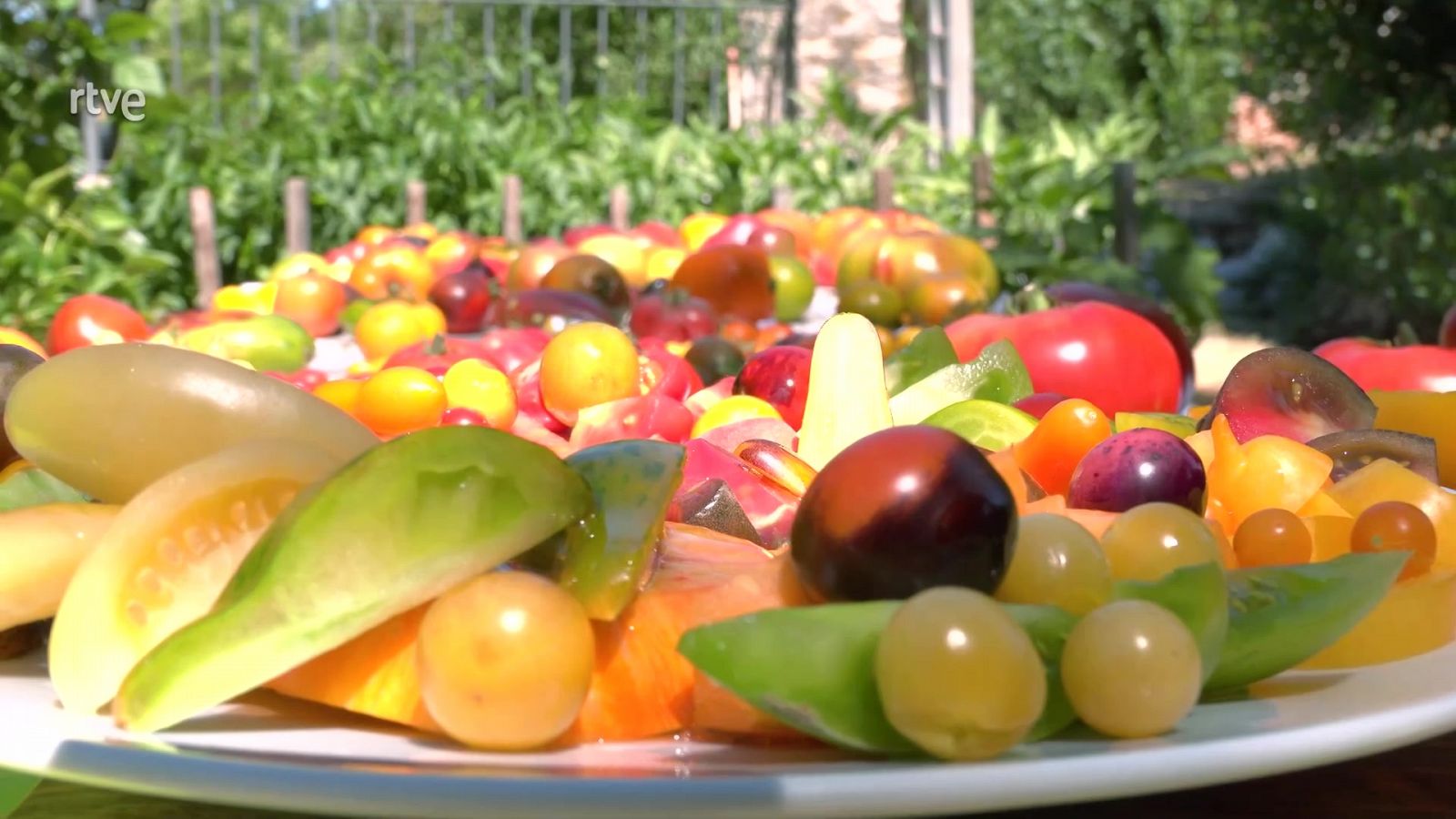 Tomates de todos los colores