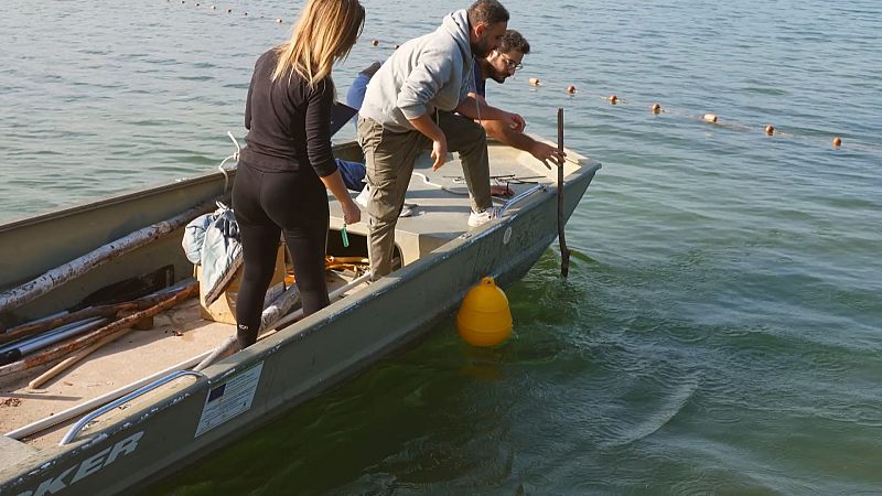 El futuro de la biodiversidad - Ver ahora