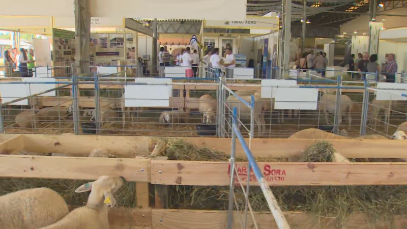 Regresa FEMOGA escaparate mundo rural aragonés