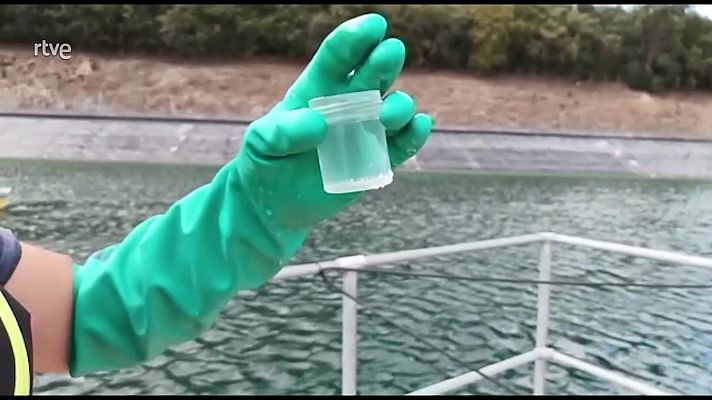 Aquí hay trabajo - Empleos para aprovechar el agua