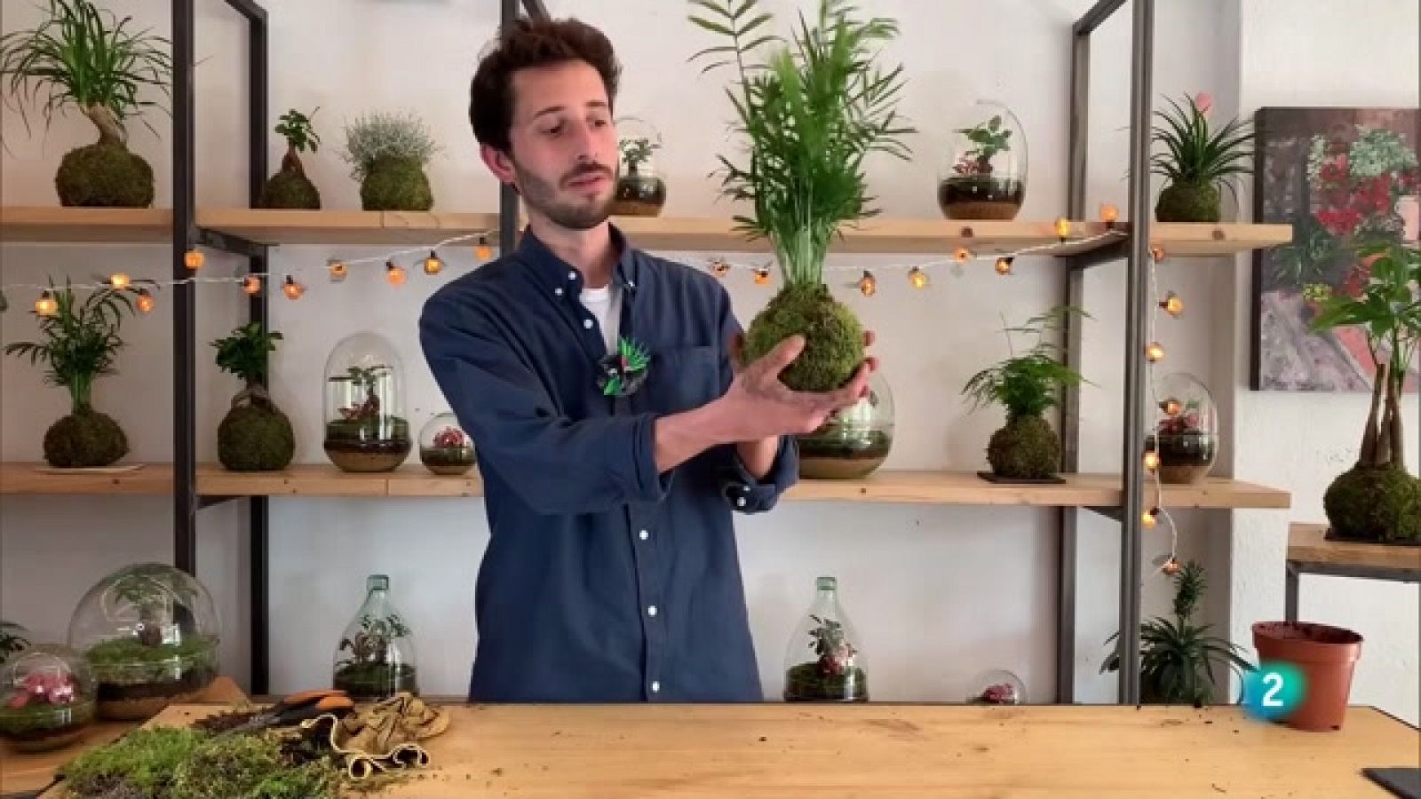 Va de Verd - Com fer una Kokedama?