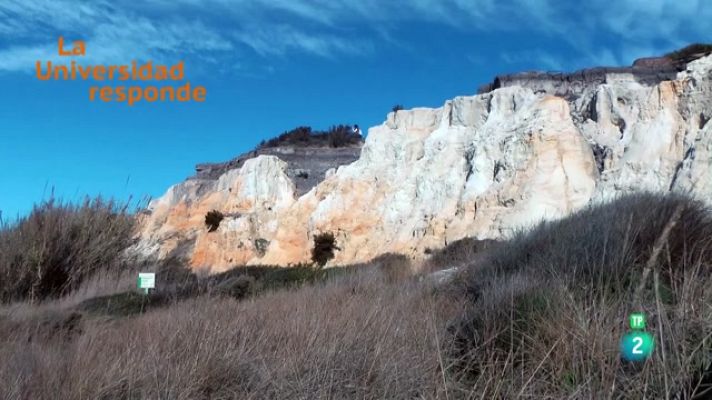 La aventura del Saber - ¿Cómo definiríamos un suelo degradado?