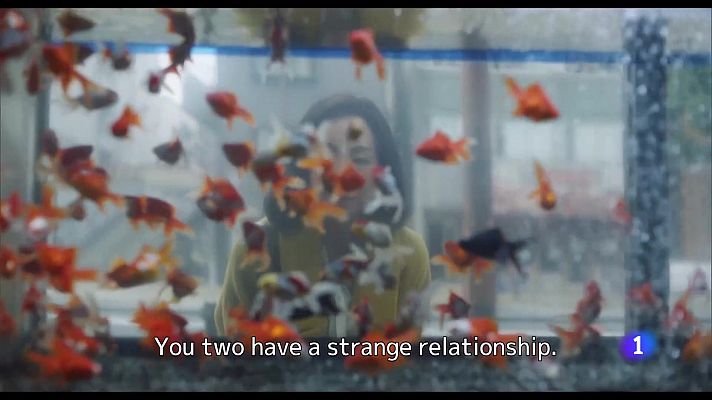 Telediario 1 - 'Cerdita' y 'A hundred flowers' se presentan en el Festival de Cine de San Sebastián