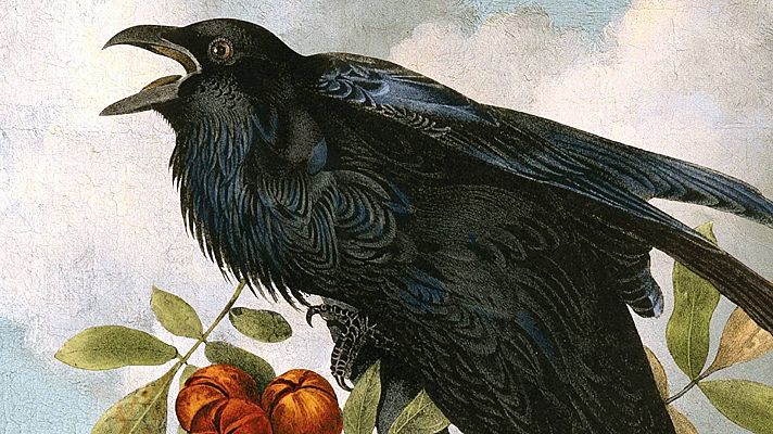 Telediario 1 - 'El libro del sepulturero', el thriller histórico que triunfa en toda Europa