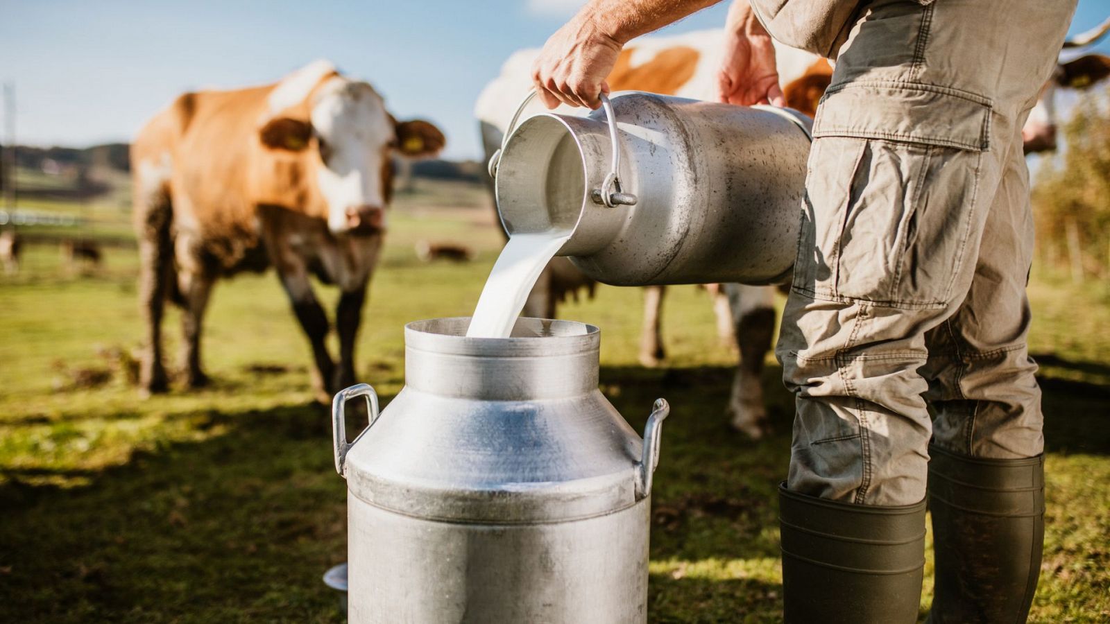¿Podría haber desabastecimiento de leche en los próximos meses?