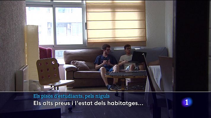 Informatiu Balear - Els pisos d'estudiants, pels niguls