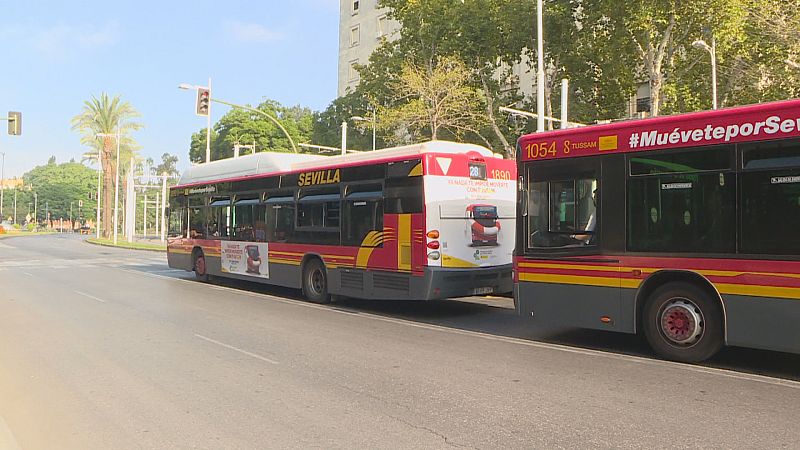 Día mundial sin coche - Ver ahora
