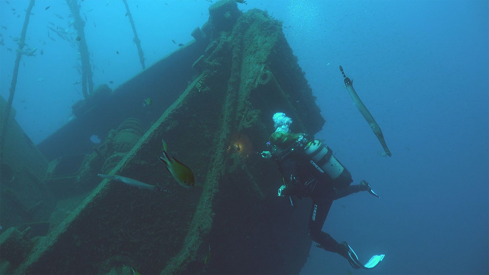 Canarias bajo el mar - Barcos hundidos - ver ahora