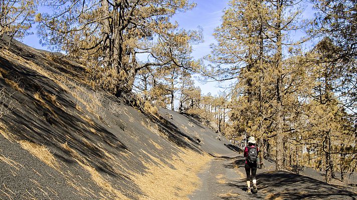 Somos Documentales - Ecos de un volcán