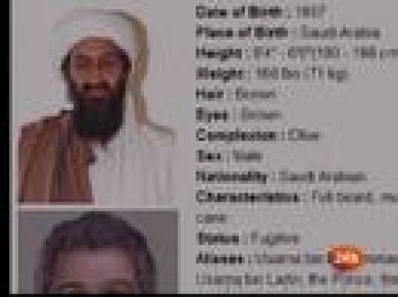 Sin programa: El nuevo rostro de Bin Laden | RTVE Play