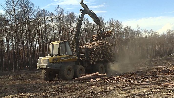 Comando Actualidad - Más leña que la que arde