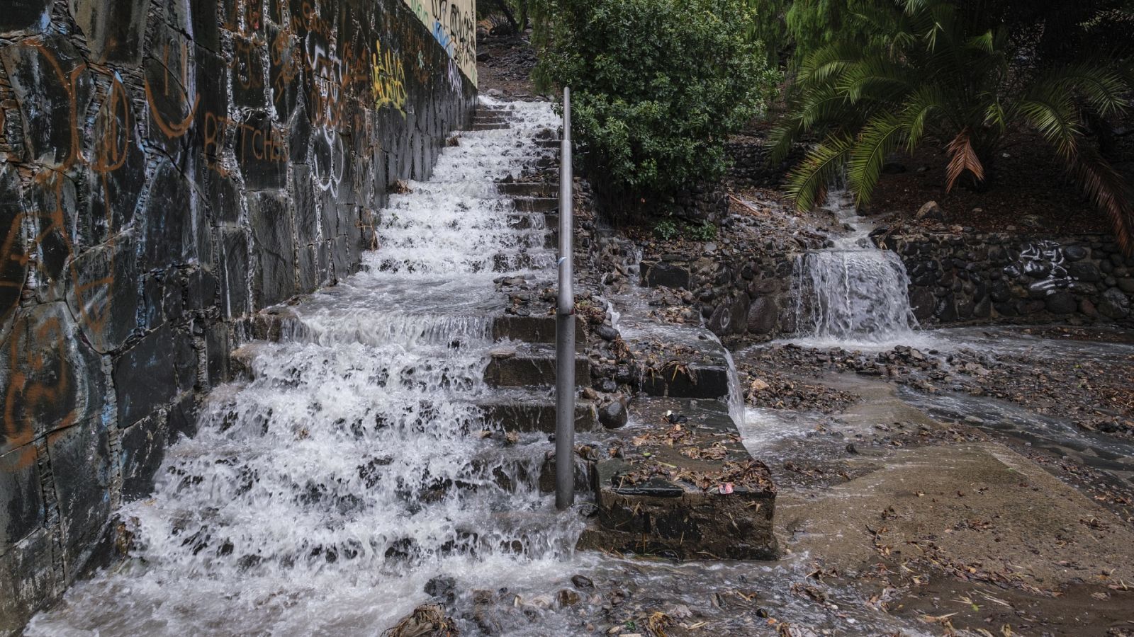 Diario 24 - 26/09/22 (2) - ver ahora