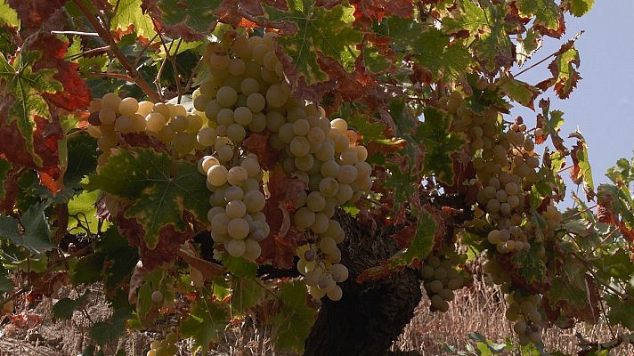 Aquí la Tierra - Aquí la Tierra - 26/09/22