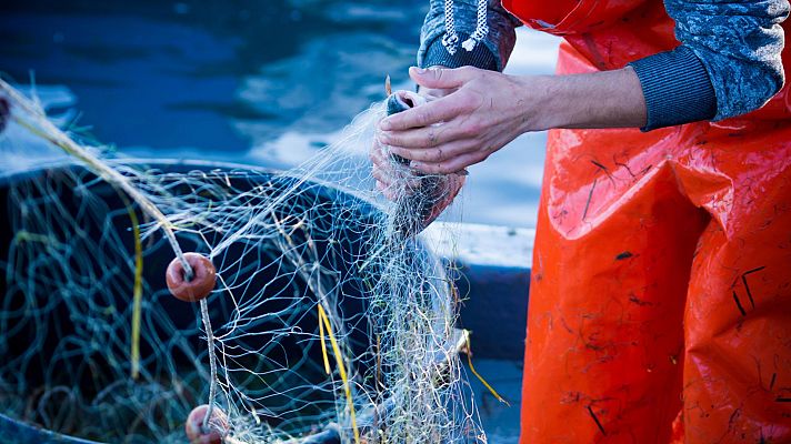 El veto europeo a la pesca de arrastre
