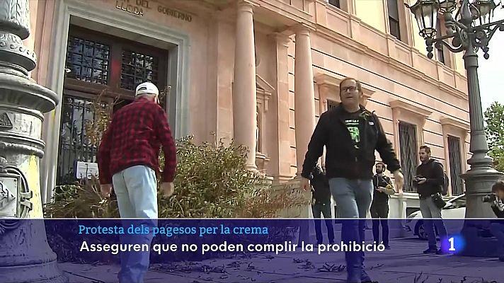 L'Informatiu - Un centenar de pagesos protesten contra la prohibició de cremar al camp