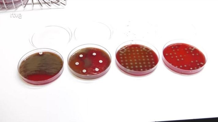 Aquí hay trabajo - Nueva Ley de la Ciencia contra la precariedad laboral