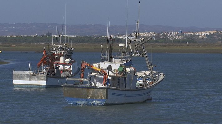 Veto en la pesca de arrastre