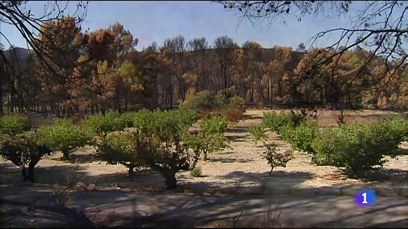 L'Informatiu de la Comunitat Valenciana 2 - 28/09/22 ver ahora