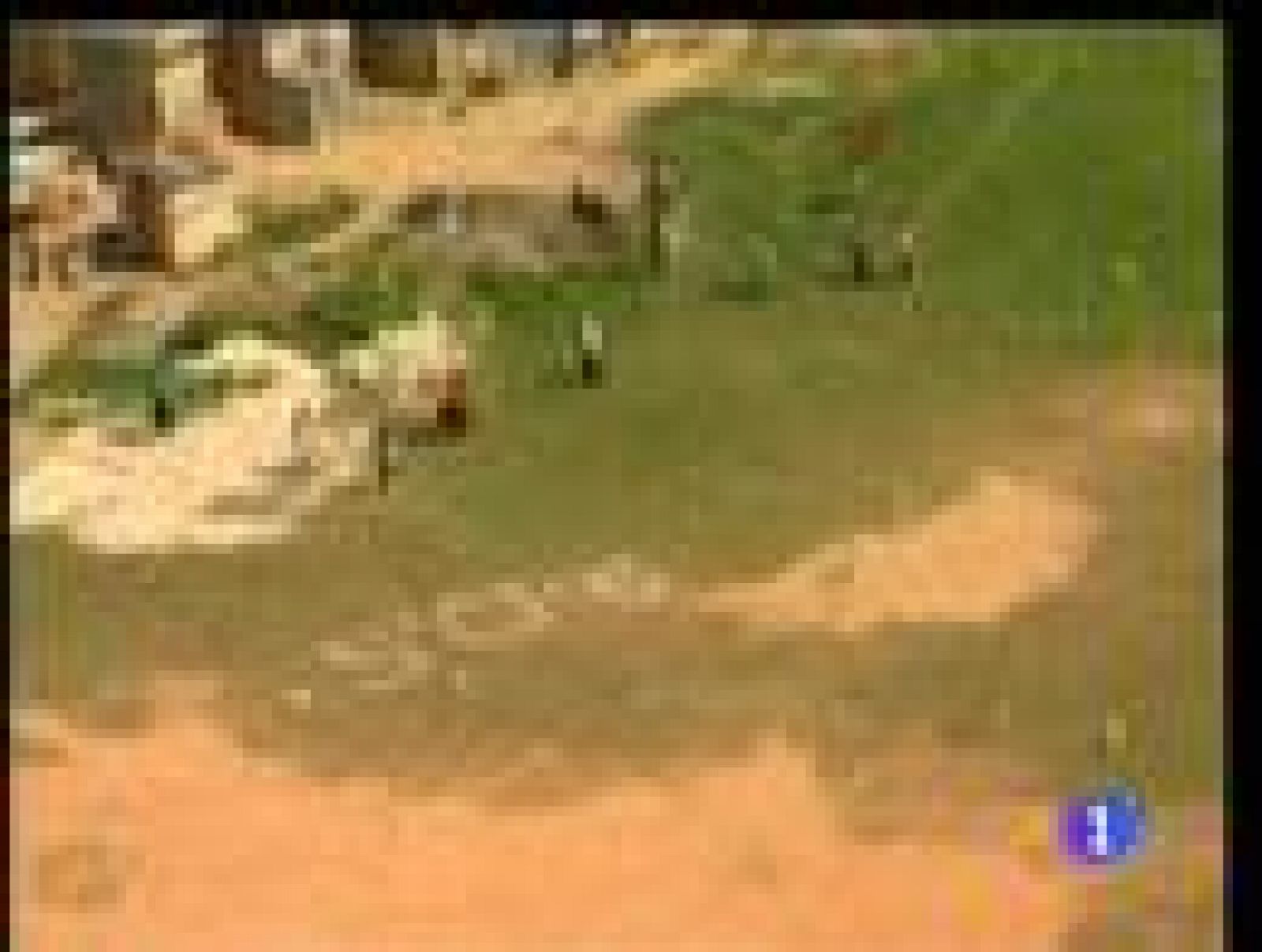 Informe semanal - El grito desesperado de un país | Ver