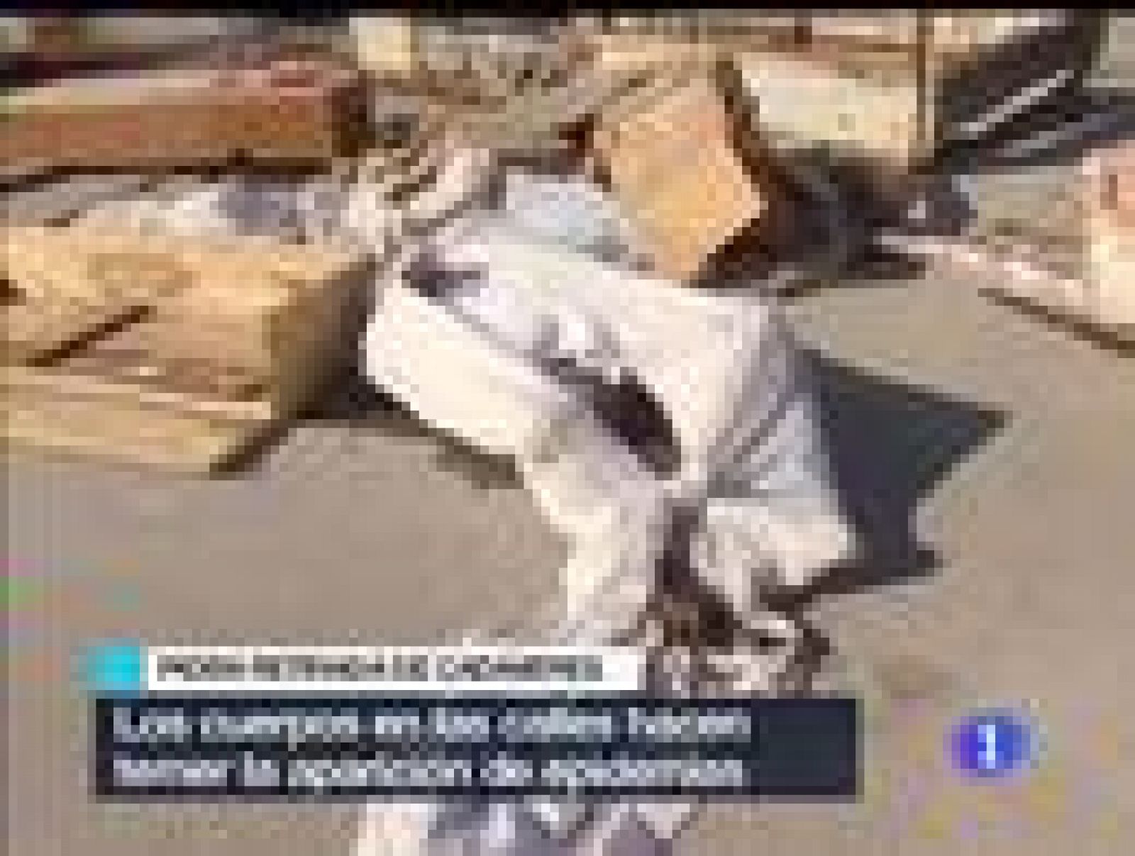 Construyen barricadas con los cadáveres | Ver